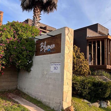 Blumen Hotel Concón Exteriér fotografie