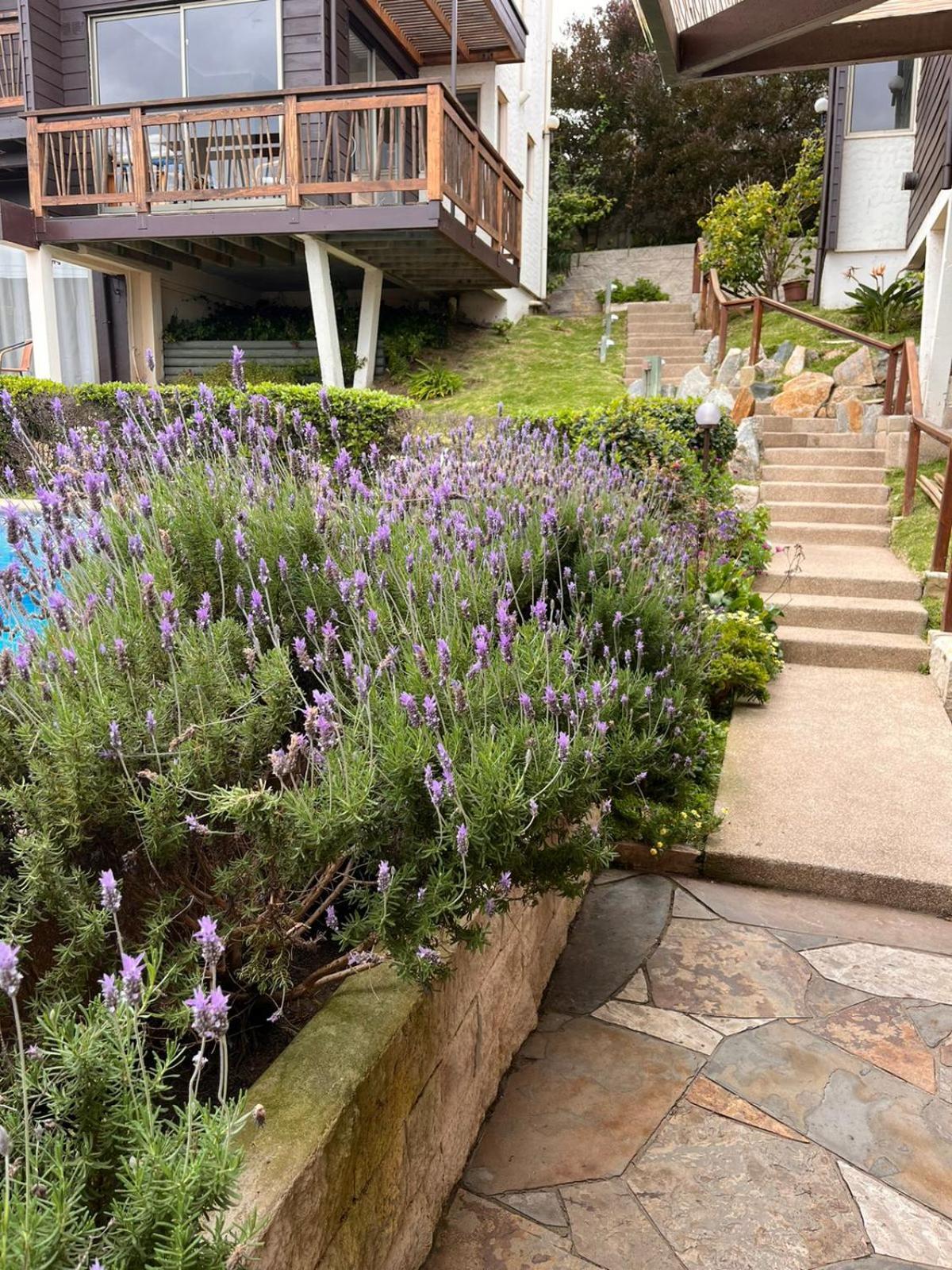 Blumen Hotel Concón Exteriér fotografie